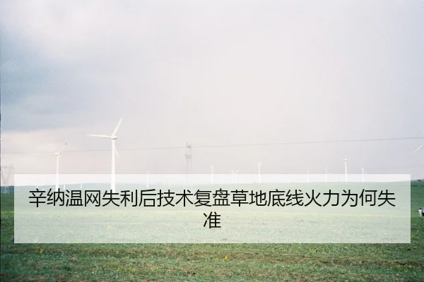 辛纳温网失利后技术复盘草地底线火力为何失准